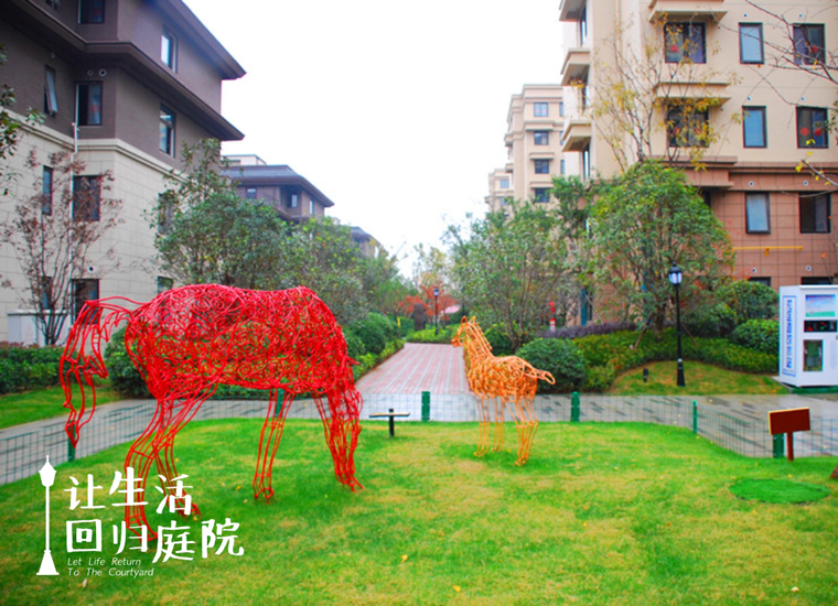 前后张望南阳50年：这样的天井，很难再有了！