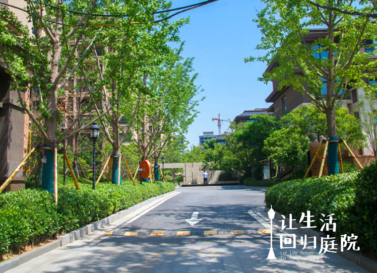 前后张望南阳50年：这样的天井，很难再有了！