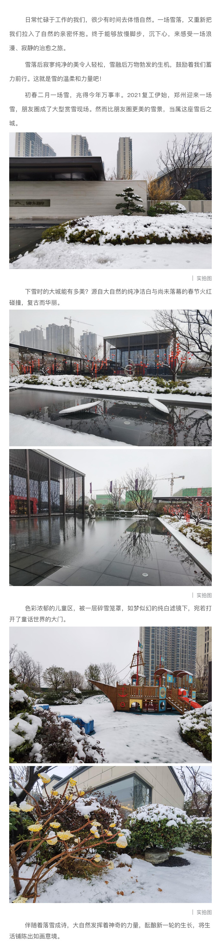 2021浪漫开年，共赏一场鹅毛大雪！