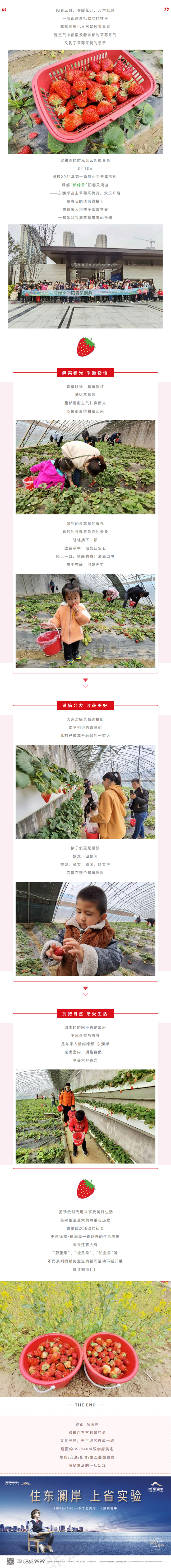 草莓采摘行|“莓”好同业，不负春日好时光