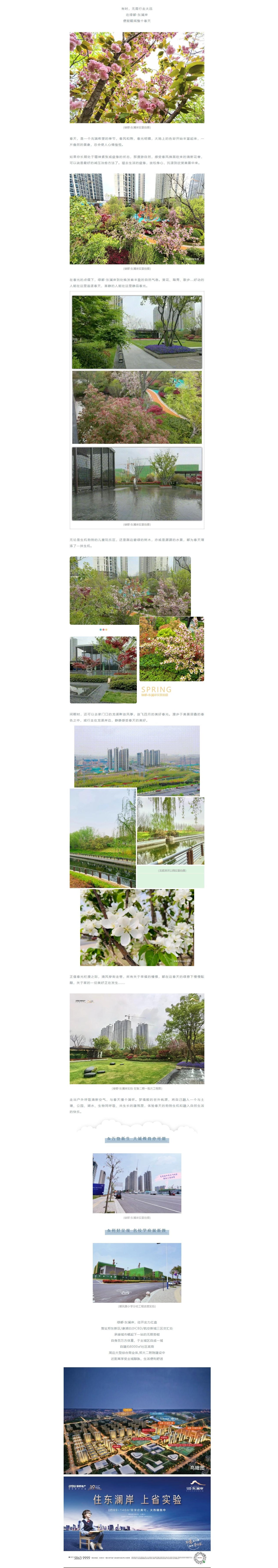 赏花踏青，来一场和春天的约会