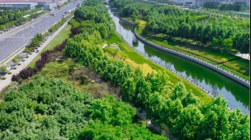 8#楼王加推在即 | 经开顶流热盘，这一次千万别错过！