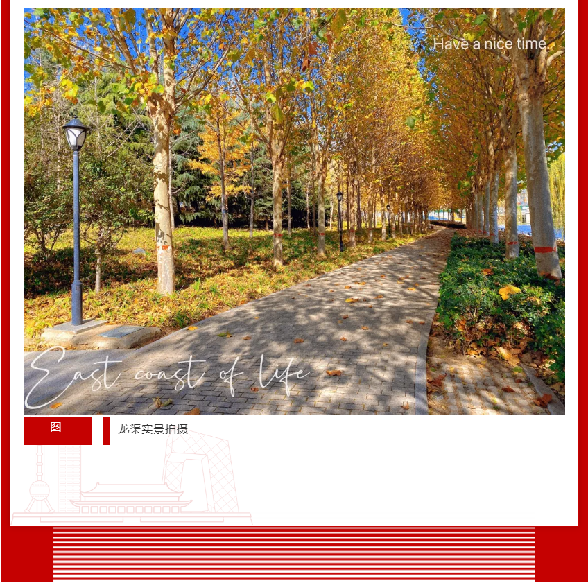 年终薅好房，这个明星红盘把“出圈”进行到底！